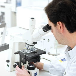 戴森微生物實(shí)驗(yàn)室 從塵埃中探尋科技創(chuàng)新的秘密