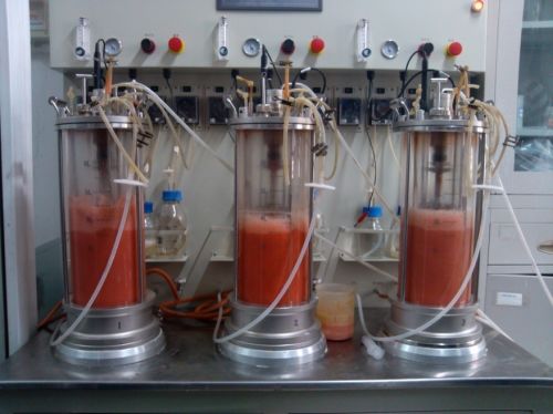 科技引領(lǐng)健康，益然展望未來 北京益然生物科技首屆新聞發(fā)布會聚焦生物科技研發(fā)新紀(jì)元