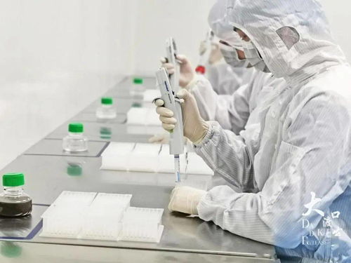 大渡口區(qū)生物科技領(lǐng)域博士后科研工作站概覽