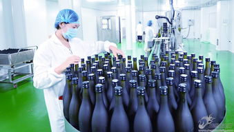 酵億生物科技 以深度創(chuàng)新驅(qū)動研發(fā)，邁向生物科技價(jià)值鏈高端