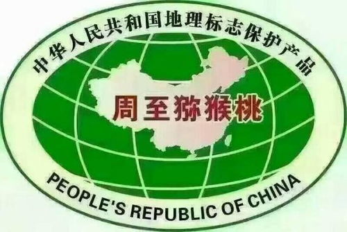 乳酸菌肥料技術(shù)賦能，陜西獼猴桃品質(zhì)躍升達(dá)出口標(biāo)準(zhǔn)